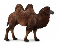 Collecta Divkupru kamielis L, 88807