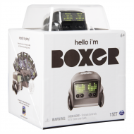 BOXER Robots, 6045398/6046962