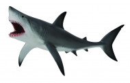 COLLECTA Lielā Baltā Haizivs XL, 88729