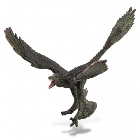 COLLECTA Mikroraptors - svari 1: 6, (XL), 88875 88875