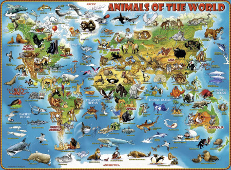 RAVENSBURGER puzle Pasaules dzīvnieki, 300 gab., 13257 13257