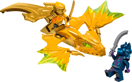 71803 LEGO® Ninjago Arin Pūķa Uzbrukums 