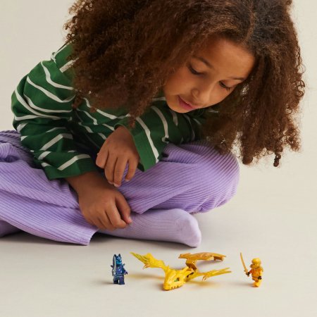 71803 LEGO® Ninjago Arin Pūķa Uzbrukums 