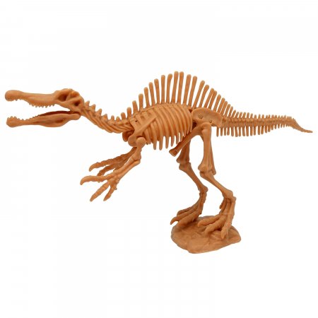 MEGASAUR MIGHTY zinātniskie piedzīvojumi dinozauru skeleta komplekts 2IN1, 3 asst., 16944C 16944C