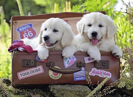 RAVENSBURGER puzle Traveling Pups, 100gab., 10538 10538