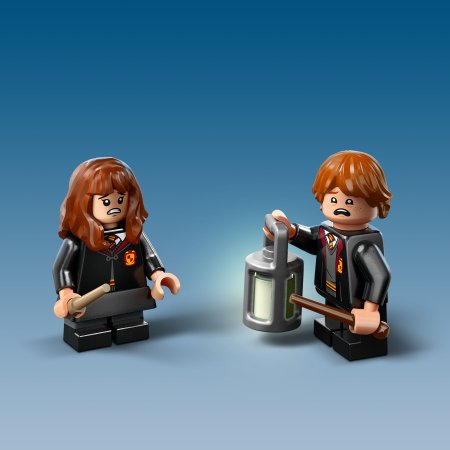 76432 LEGO® Harry Potter™ Aizliegtais mežs: Maģiskās būtnes 